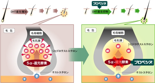 作用機序