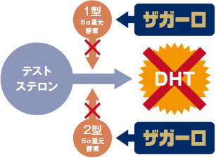 ザガーロ